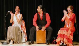 Flamenco
