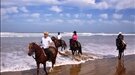 Horse riding holiday in Essaouira