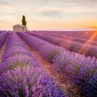 Make the most of your holiday to Provence