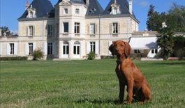 French cookery course and wine weekend in Bordeaux Chateau Lavergne