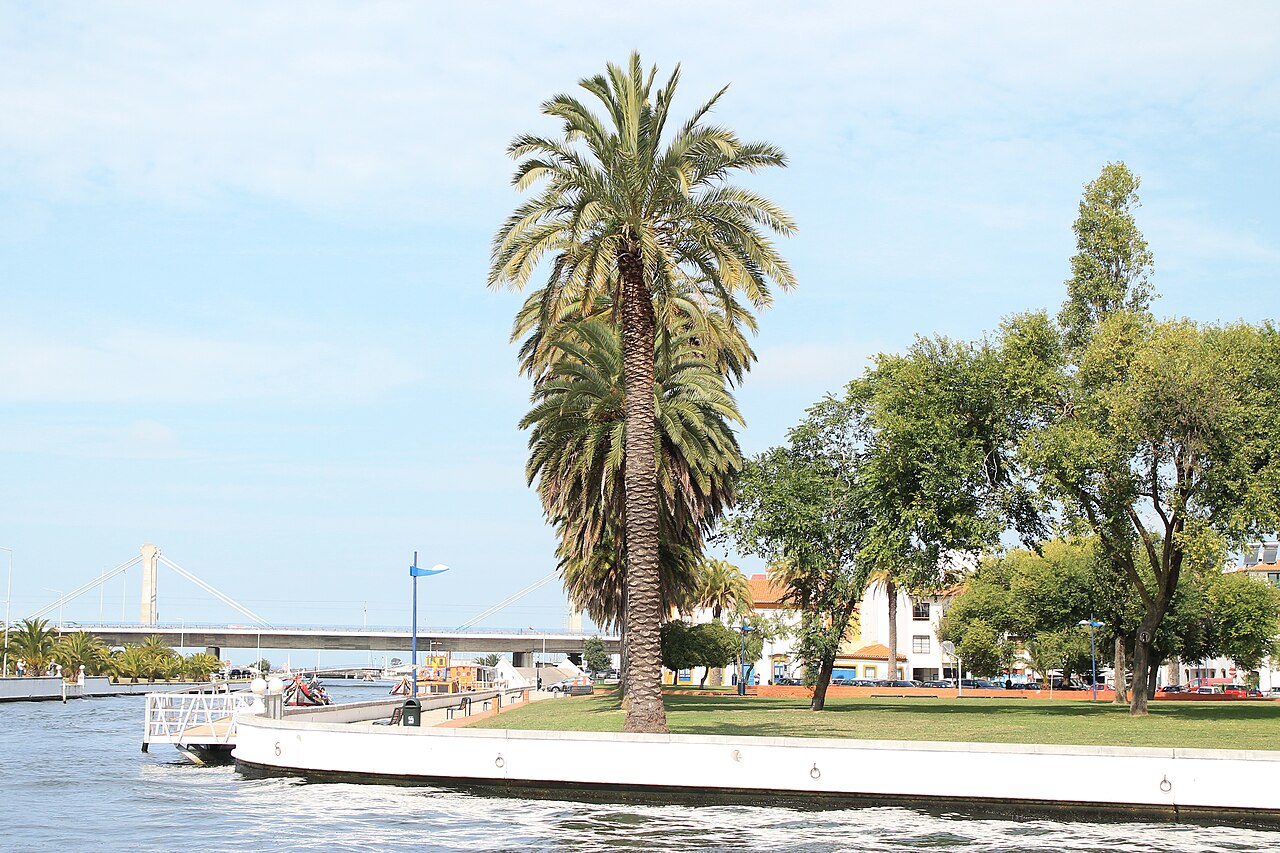 Waterfront buildings and palm trees beside the lagoon in Aveiro