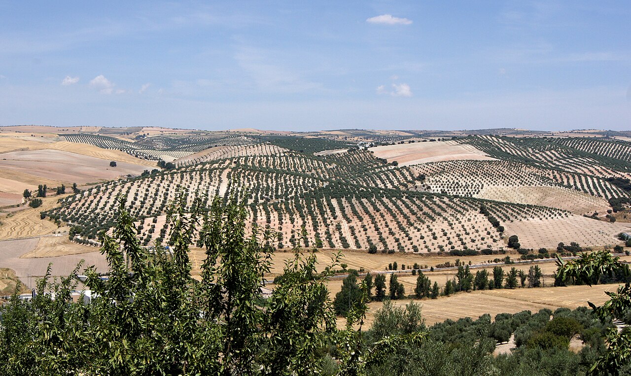 Layered limestone hills and olive-toned fields near Píñar in Andalucía