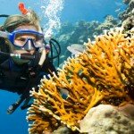 The Times Yoga and scuba diving holiday in Egypt