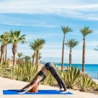 Yoga term of the week: Inversions