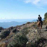 Meet Sarah, our horse riding holiday tutor in Andalucia, Spain